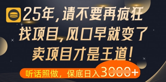 什么？25年你还在疯狂找项目做，醒醒吧，看完这些你全都懂了【揭秘】-浩文网创