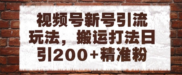 视频号新号引流玩法，搬运打法日引200+精准粉，可矩阵放大【揭秘】-浩文网创