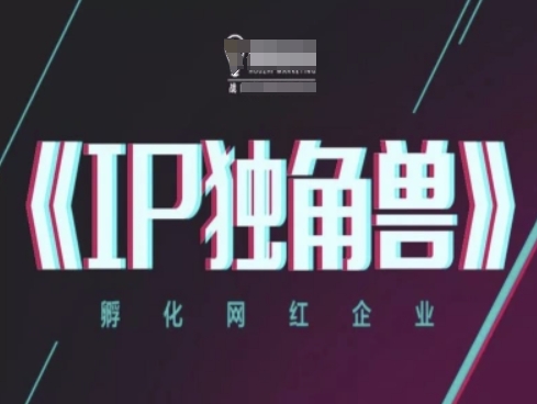 IP独角兽，孵化网红企业，ip教程-浩文网创