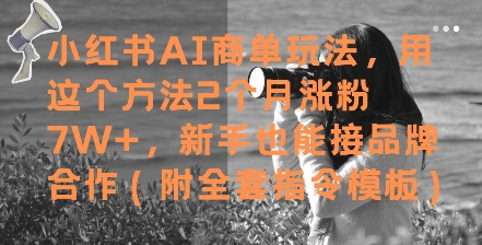 小红书AI商单玩法，用这个方法2个月涨粉7W+，新手也能接品牌合作(附全套指令模板)-浩文网创