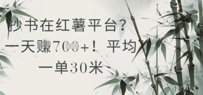 抄书在小红薯平台？平均一单30米，一天收益几张！-浩文网创