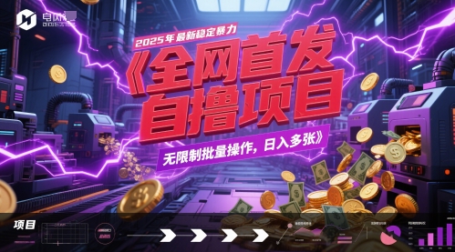 全网首发，2025年最新稳定暴力全自动自撸项目，无限制批量操作，日入多张【揭秘】-浩文网创