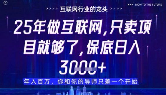 什么！25年你还在找项目做？风口早就变了，卖项目才是稳挣不赔【揭秘】-浩文网创