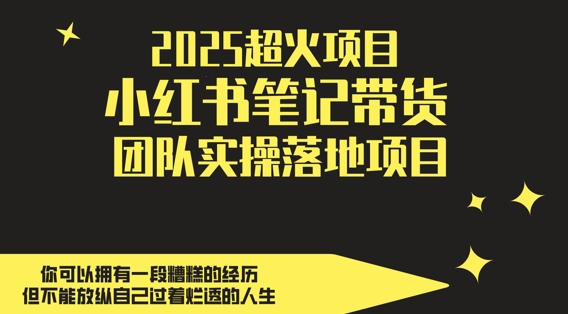 2025超火项目，副业最佳选择，小红书笔记带货团队实操落地项目，，轻松日入5张-浩文网创