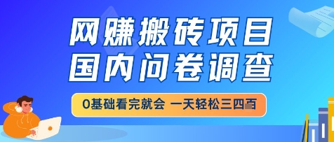 网创搬砖项目，国内问卷调查，小白轻松上手，一天三四张的也不难，干就完了【揭秘】-浩文网创