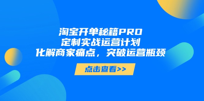 淘宝开单秘籍PRO，定制实战运营计划，化解商家痛点，突破运营瓶颈-浩文网创