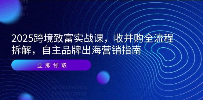 2025跨境致富实战课，收并购全流程拆解，自主品牌出海营销指南-浩文网创