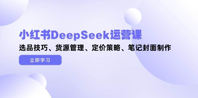 小红书DeepSeek运营课，选品技巧、货源管理、定价策略、笔记封面制作-浩文网创