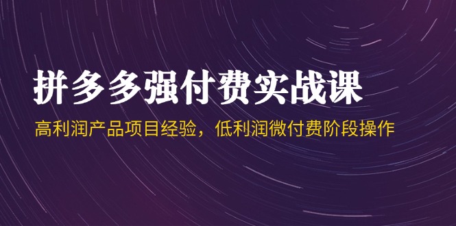 拼多多强付费实战课-44期，高利润产品项目经验，低利润微付费阶段操作-浩文网创