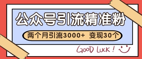 公众号精准粉引流玩法，2个月3000+精准粉，变现30个W【揭秘】-浩文网创