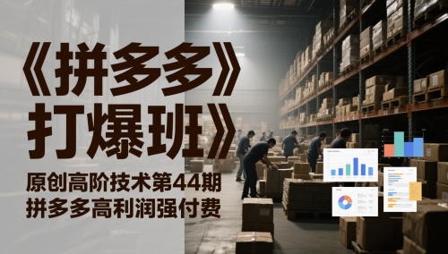 《拼多多打爆班》原创高阶技术第44期，拼多多高利润强付费-浩文网创