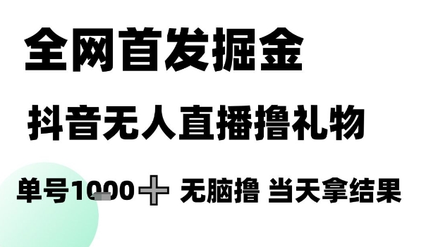 全网首发掘金抖音无人直播撸礼物，单号1k +无脑撸，当天拿结果【揭秘】-浩文网创