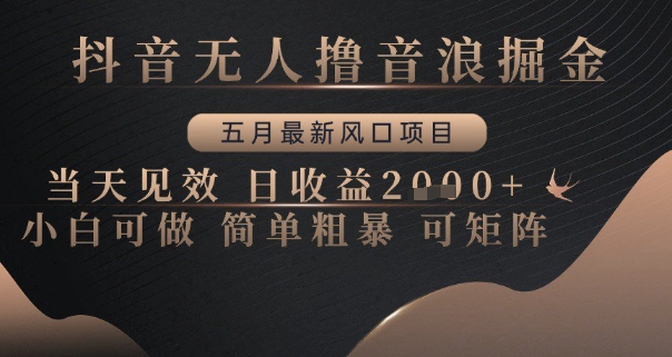 抖音无人撸音浪掘金，五月最新风口项目，当天见效，日收益多张，小白可做简单粗暴可矩阵【揭秘】-浩文网创
