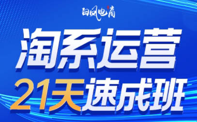 白凤电商·淘系运营21天速成班(更新5月)-浩文网创