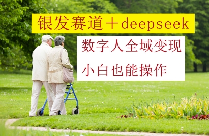 银发赛道+deepseek数字人全域变现，小白也能操作-浩文网创