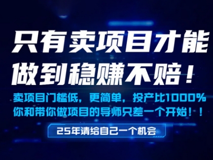 只有卖项目才能做到稳挣不赔，门槛低，更简单，你也可以年入百个W【揭秘】-浩文网创
