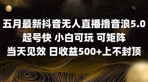 2025五月最新无人直播撸音浪单日产出5张+实操教程【揭秘】-浩文网创