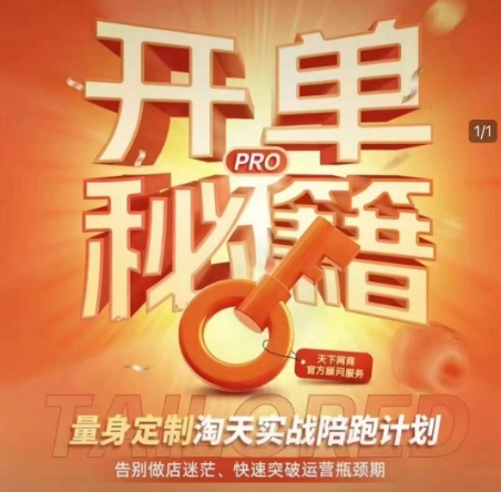 淘宝开单秘籍PRO，量身定制淘天实战陪跑计划，告别做店迷茫、快速突破运营瓶颈期(更新)-浩文网创