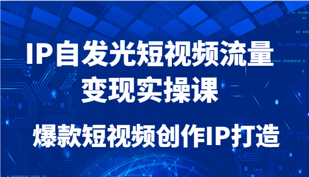 IP自发光短视频流量变现实操课，爆款短视频创作IP打造-浩文网创
