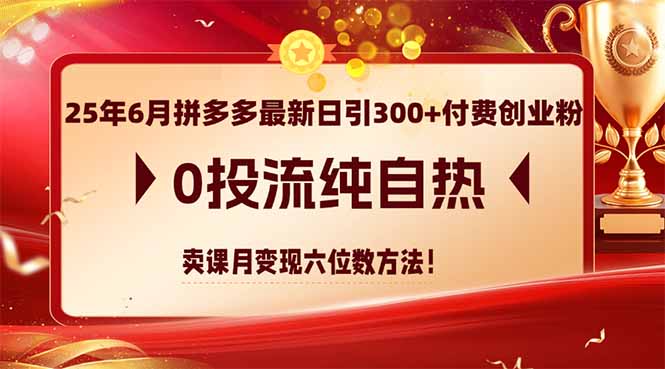 25年6月拼多多最新日引300+付费创业粉，0投流纯自热 卖课月变现六位数方法-浩文网创