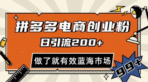 拼多多引流电商创业粉，日引200+，可矩阵放大，做了就有效【揭秘】-浩文网创