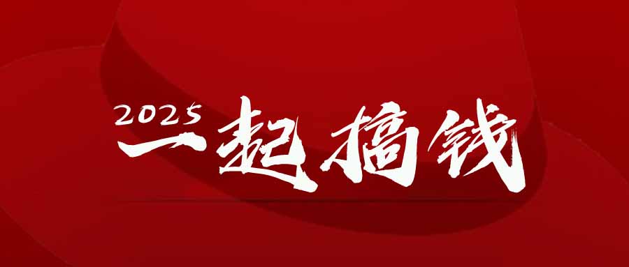 2025年，请“不择手段”去搞钱!-浩文网创